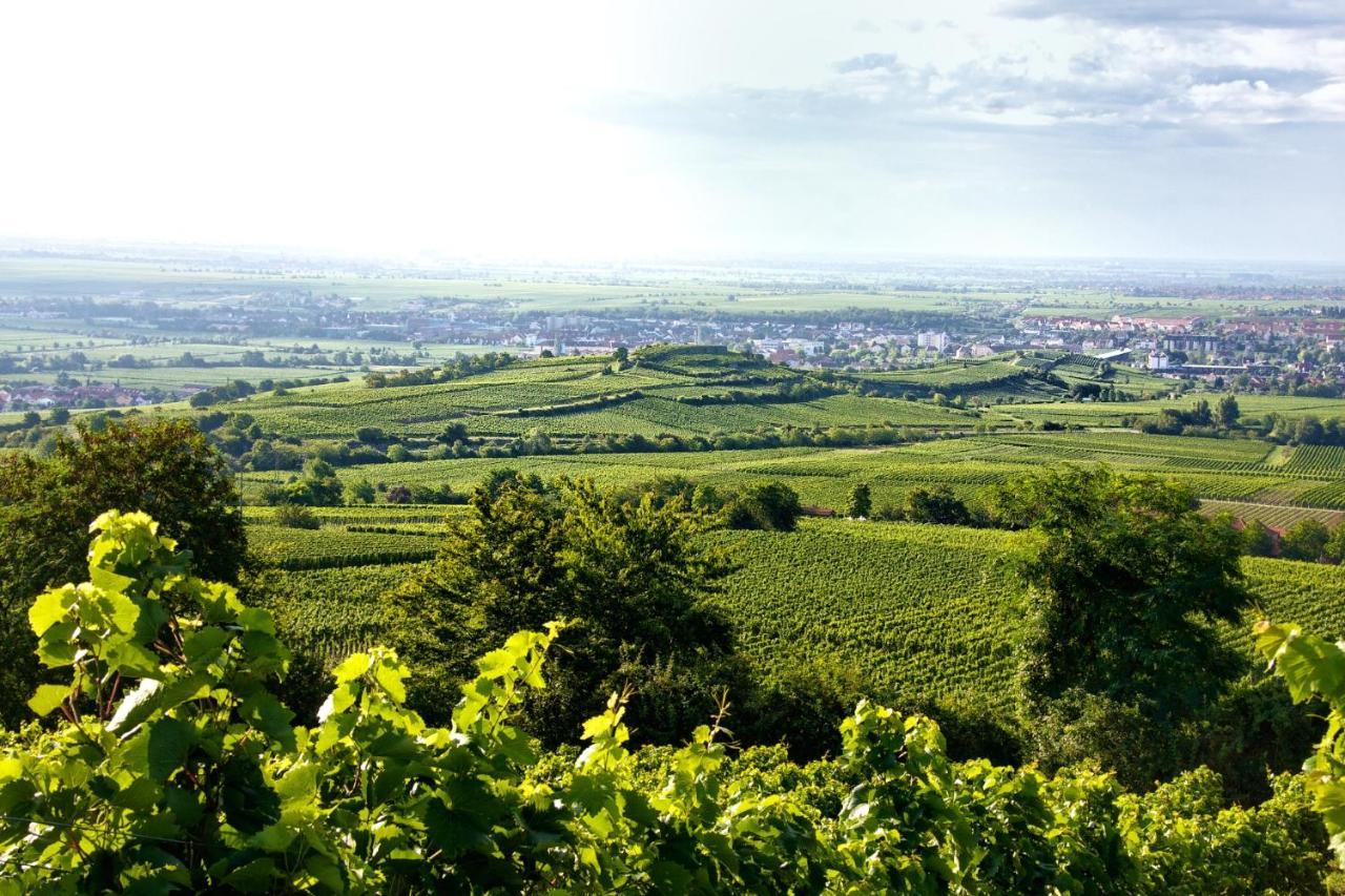 Winzerhof Schwerdt Leilighet Bad Dürkheim Eksteriør bilde